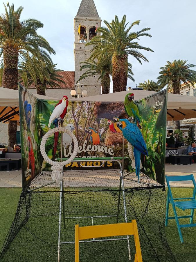 Hostel Rasema Trogir Dış mekan fotoğraf